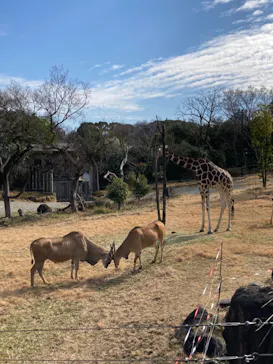 天王寺動物園に投稿された画像（2021/2/14）