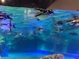 すみだ水族館に投稿された画像（2021/2/15）