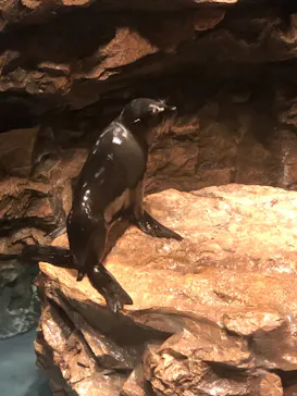 すみだ水族館に投稿された画像（2021/2/15）