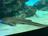 サンシャイン水族館に投稿された画像（2021/2/15）