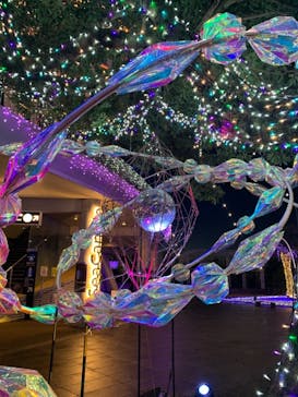 江の島シーキャンドルに投稿された画像（2021/2/15）