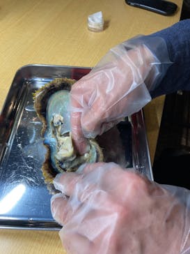 三重県真珠に投稿された画像（2021/2/15）