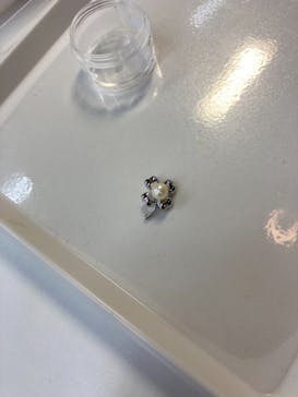 三重県真珠に投稿された画像（2021/2/15）