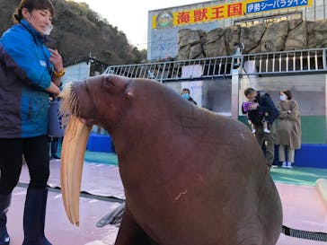 ゼロ距離水族館 伊勢シーパラダイスに投稿された画像（2021/2/15）