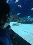 サンシャイン水族館に投稿された画像（2021/2/16）