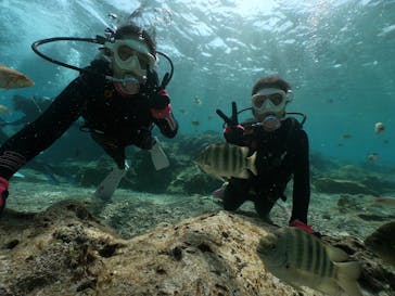 DIVING-SHOP SUNSに投稿された画像（2021/2/16）