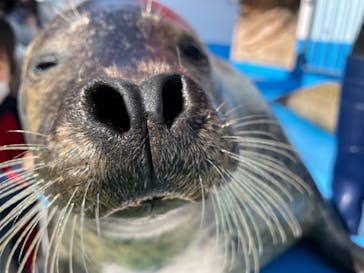 ゼロ距離水族館 伊勢シーパラダイスに投稿された画像（2021/2/16）