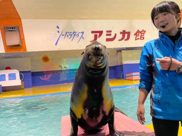ゼロ距離水族館 伊勢シーパラダイスに投稿された画像（2021/2/16）