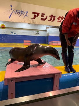 ゼロ距離水族館 伊勢シーパラダイスに投稿された画像（2021/2/16）