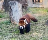 天王寺動物園に投稿された画像（2021/2/16）