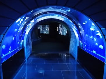 サンシャイン水族館に投稿された画像（2021/2/16）