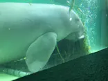 鳥羽水族館に投稿された画像（2021/2/16）