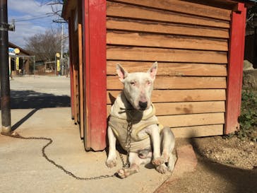 しろとり動物園に投稿された画像（2021/2/16）