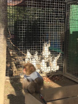 しろとり動物園に投稿された画像（2021/2/16）