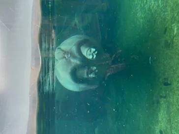 天王寺動物園に投稿された画像（2021/2/17）