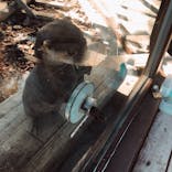 横浜・八景島シーパラダイスに投稿された画像（2021/2/17）