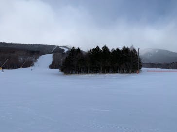 サンメドウズ清里に投稿された画像（2021/2/18）