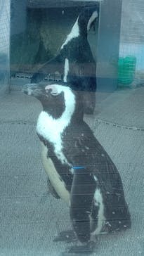 サンシャイン水族館に投稿された画像（2021/2/18）