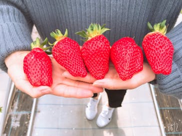 いのさんの観光農園に投稿された画像（2021/2/18）