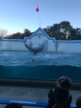 しながわ水族館に投稿された画像（2021/2/18）