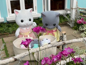 安城産業文化公園デンパークに投稿された画像（2021/2/18）