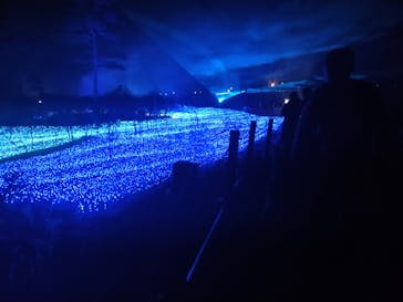KYOTO ILLUMINATION SYNESTHESIA HILLS るり渓温泉に投稿された画像（2021/2/18）