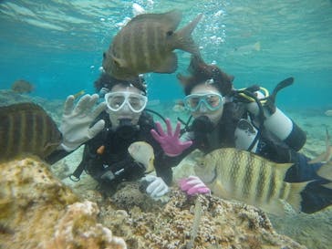 武藤潜水に投稿された画像（2021/2/19）