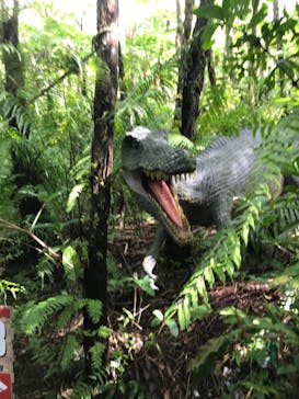 御菓子御殿　名護店　やんばる亜熱帯の森DINO恐竜PARKに投稿された画像（2021/2/19）