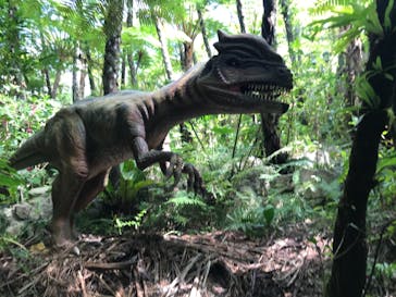 御菓子御殿　名護店　やんばる亜熱帯の森DINO恐竜PARKに投稿された画像（2021/2/19）