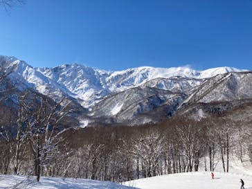 白馬岩岳スノーフィールドに投稿された画像（2021/2/19）