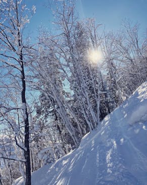 白馬岩岳スノーフィールドに投稿された画像（2021/2/19）