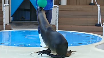 サンシャイン水族館に投稿された画像（2021/2/19）