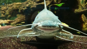 サンシャイン水族館に投稿された画像（2021/2/19）