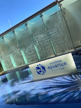 サンシャイン水族館に投稿された画像（2021/2/19）