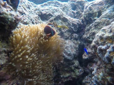 武藤潜水に投稿された画像（2021/2/19）