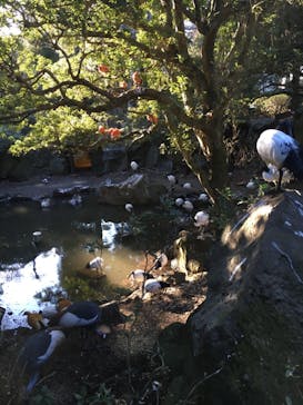 伊豆シャボテン動物公園に投稿された画像（2021/2/20）