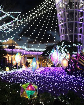 江の島シーキャンドルに投稿された画像（2021/2/20）