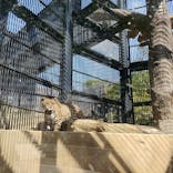 沖縄こどもの国に投稿された画像（2021/2/20）