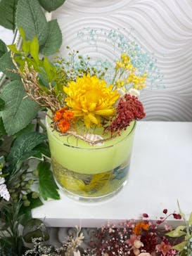 ずこうしつ〜sugamo〜に投稿された画像（2021/2/20）