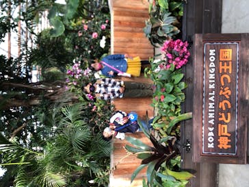 神戸どうぶつ王国に投稿された画像（2021/2/20）