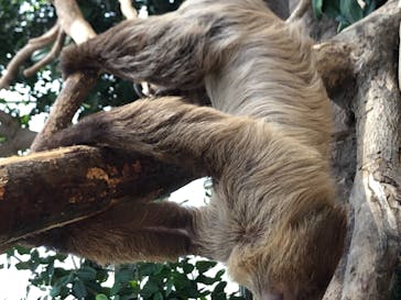 神戸どうぶつ王国に投稿された画像（2021/2/20）