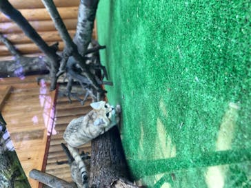 神戸どうぶつ王国に投稿された画像（2021/2/20）