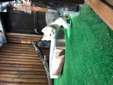 神戸どうぶつ王国に投稿された画像（2021/2/20）