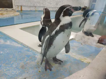 天王寺動物園に投稿された画像（2021/2/20）