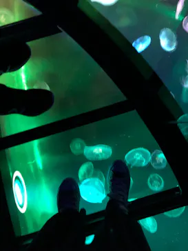 すみだ水族館に投稿された画像（2021/2/20）