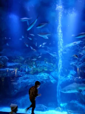 すみだ水族館に投稿された画像（2021/2/20）