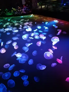 すみだ水族館に投稿された画像（2021/2/20）