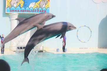 株式会社Gに投稿された画像（2021/2/20）