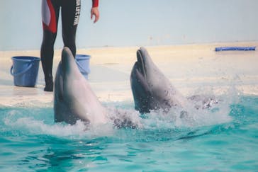 株式会社Gに投稿された画像（2021/2/20）