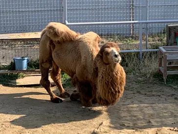 天王寺動物園に投稿された画像（2021/2/20）